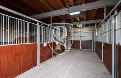 Casa senhorial à venda Przedbórz, Lodzkie, Imagem 41/42