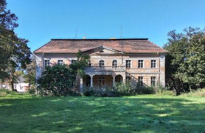 Palácio à venda Granówko, Wielkopolskie, Vista traseira
