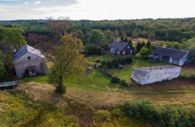 Moinho à venda Pawłów, Mazowieckie, Imagem 13/19