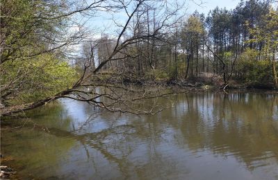 Parque histórico à venda Dębe Wielkie, Ruda, Mazowieckie, Lago