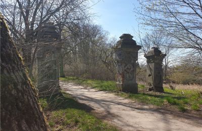 Parque histórico à venda Dębe Wielkie, Ruda, Mazowieckie, Imagem 2/24