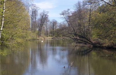 Parque histórico à venda Dębe Wielkie, Ruda, Mazowieckie, Imagem 14/24