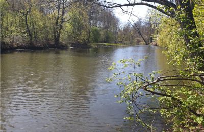 Parque histórico à venda Dębe Wielkie, Ruda, Mazowieckie, Imagem 15/24