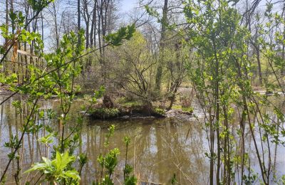 Parque histórico à venda Dębe Wielkie, Ruda, Mazowieckie, Imagem 17/24