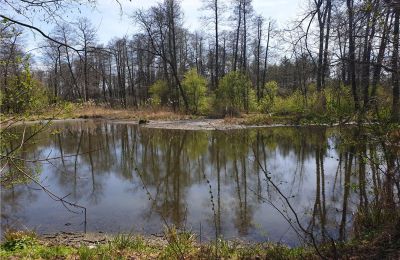 Parque histórico à venda Dębe Wielkie, Ruda, Mazowieckie, Imagem 20/24