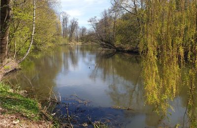 Parque histórico à venda Dębe Wielkie, Ruda, Mazowieckie, Imagem 22/24