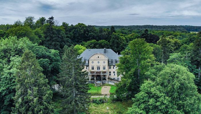 Palácio à venda Trzcinno, Pomorskie,  Polónia