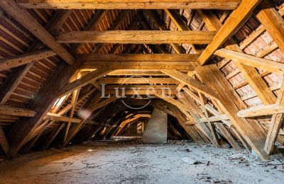 Palácio à venda Cítoliby, Zamek Cítoliby, Ústecký kraj, Telhado