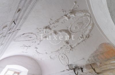 Palácio à venda Cítoliby, Zamek Cítoliby, Ústecký kraj, Decoração de estuque