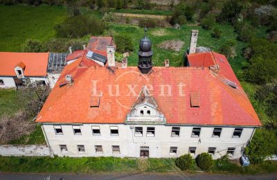 Palácio à venda Brody, Zámek Brody, Ústecký kraj, Telhado