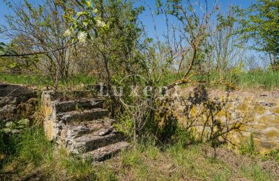 Palácio à venda Brody, Zámek Brody, Ústecký kraj, Imagem 16/19