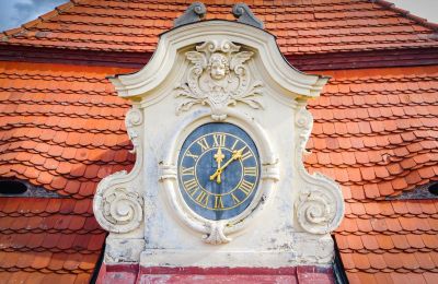 Palácio à venda Mirošov, Zámek Mirošov, okres Rokycany, Detalhes