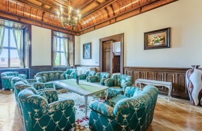 Palácio à venda Mirošov, Zámek Mirošov, okres Rokycany, Imagem 11/32