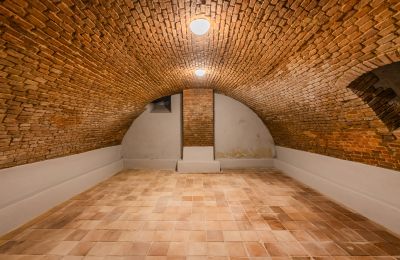 Palácio à venda Mirošov, Zámek Mirošov, okres Rokycany, Imagem 24/32