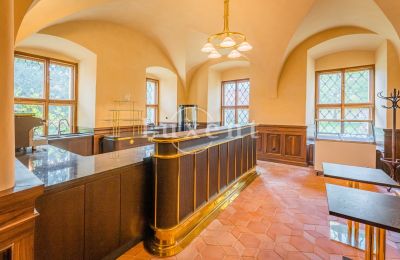 Palácio à venda Mirošov, Zámek Mirošov, Plzeňský kraj, Imagem 19/30