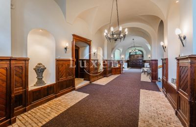 Palácio à venda Mirošov, Zámek Mirošov, Plzeňský kraj, Hall de entrada