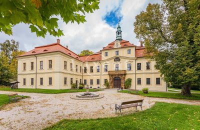 Palácio à venda Mirošov, Zámek Mirošov, Plzeňský kraj, Jardim