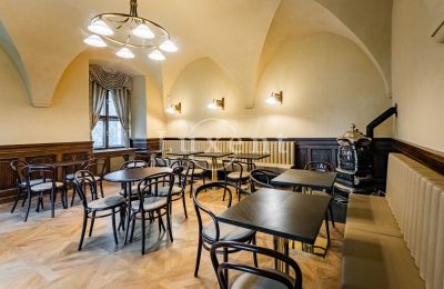 Palácio à venda Mirošov, Zámek Mirošov, Plzeňský kraj, Imagem 17/30