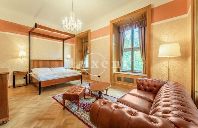 Palácio à venda Mirošov, Zámek Mirošov, Plzeňský kraj, Imagem 15/30