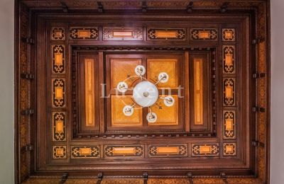 Palácio à venda Mirošov, Zámek Mirošov, Plzeňský kraj, Imagem 12/30