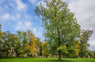 Palácio à venda Mirošov, Zámek Mirošov, Plzeňský kraj, Imagem 24/30