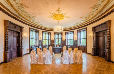 Palácio à venda Mirošov, Zámek Mirošov, Plzeňský kraj, Salão de baile