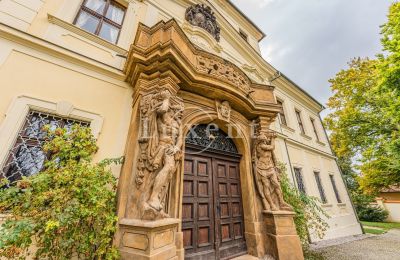 Palácio à venda Mirošov, Zámek Mirošov, Plzeňský kraj, Imagem 29/30