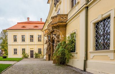 Palácio à venda Mirošov, Zámek Mirošov, Plzeňský kraj, Imagem 28/30