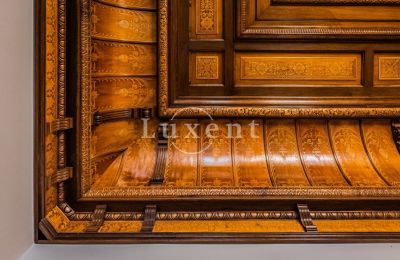 Palácio à venda Mirošov, Zámek Mirošov, Plzeňský kraj, Imagem 13/30