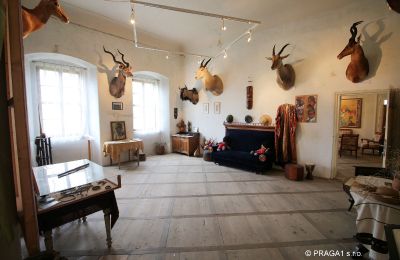 Palácio à venda Hlavní město Praha, Imagem 10/19
