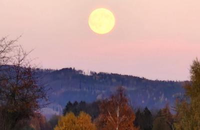 Palácio à venda Piszkowice, Dolnoslaskie, Okokica