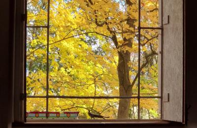 Palácio à venda Piszkowice, Dolnoslaskie, Imagem 26/28