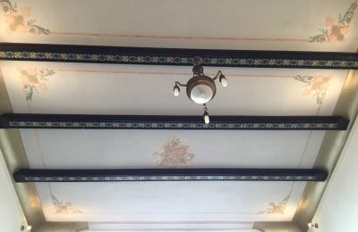 Villa histórica à venda Strzelin, Kazanów 21, Dolnoslaskie, Imagem 9/35