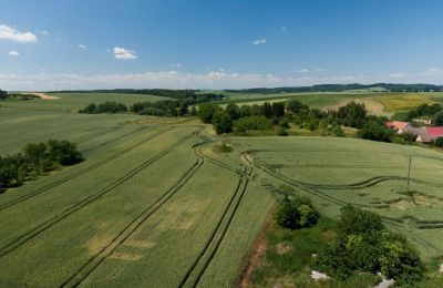 Villa histórica à venda Strzelin, Kazanów 21, Dolnoslaskie, Imagem 33/35