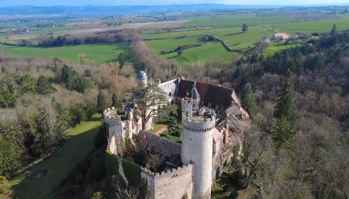 Palácio à venda Veauce, Auvergne-Rhône-Alpes,  França