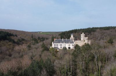 Palácio à venda Veauce, Auvergne-Rhône-Alpes, Localização da propriedade