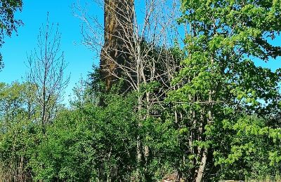 Casa senhorial à venda Gulbere, Vidzeme, Edifício anexo 