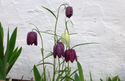 Palácio à venda 91792 Ellingen, An der Vogtei 2, Baviera, Imagem 38/61