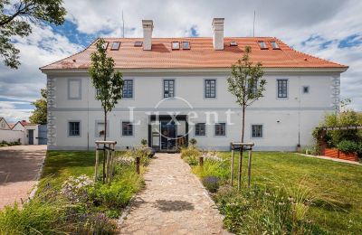 Palácio České Budějovice, Jihozápad