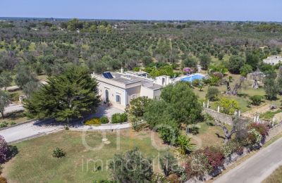 Imóveis com caráter, Stylische Villa mit Gartenparadies und Orangenhain in Oria
