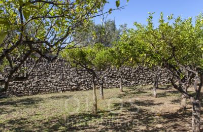 Villa histórica à venda Oria, Apúlia, Imagem 16/34