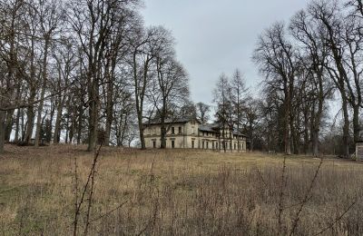 Palácio à venda Stradzewo, Pałac w Stradzewie, Zachodniopomorskie, Jardim palaciano