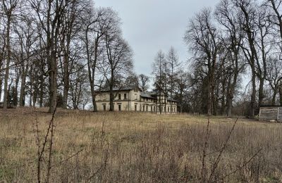 Palácio à venda Stradzewo, Pałac w Stradzewie, Zachodniopomorskie, Imagem 14/14