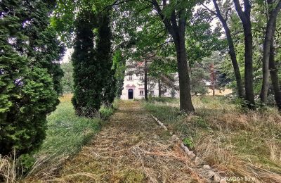 Palácio à venda Opava, Moravskoslezský kraj, Acesso