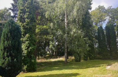 Palácio à venda Opava, Moravskoslezský kraj, Jardim palaciano