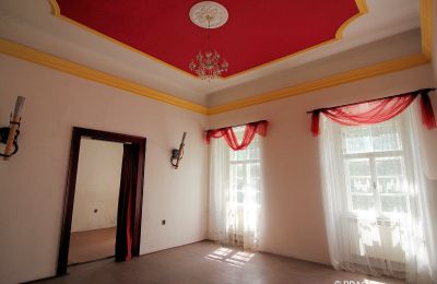 Palácio à venda Opava, Moravskoslezský kraj, Imagem 7/15