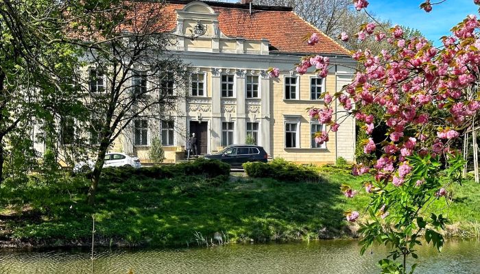 Palácio à venda Gola, Wielkopolskie,  Polónia