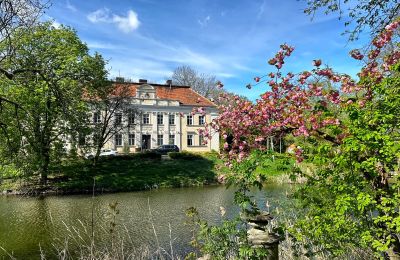 Palácio à venda Gola, Wielkopolskie, Imagem 2/42