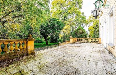 Palácio à venda Gola, Wielkopolskie, Imagem 38/42