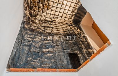 Castelo à venda Třebotov, Třebotov tvrz, Středočeský kraj, Imagem 22/36